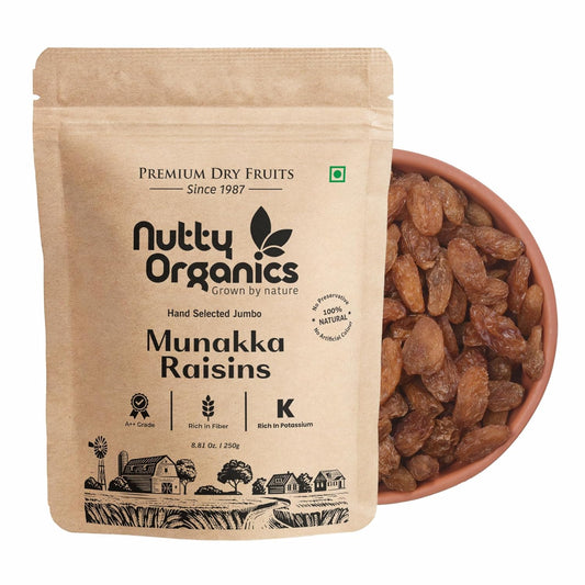 Nutty Organics Munaka Raisins 500 Gm | Nutritious| Rich in Iron | Tasty & Healthy Nuts Dry Fruits | Rich in Protein